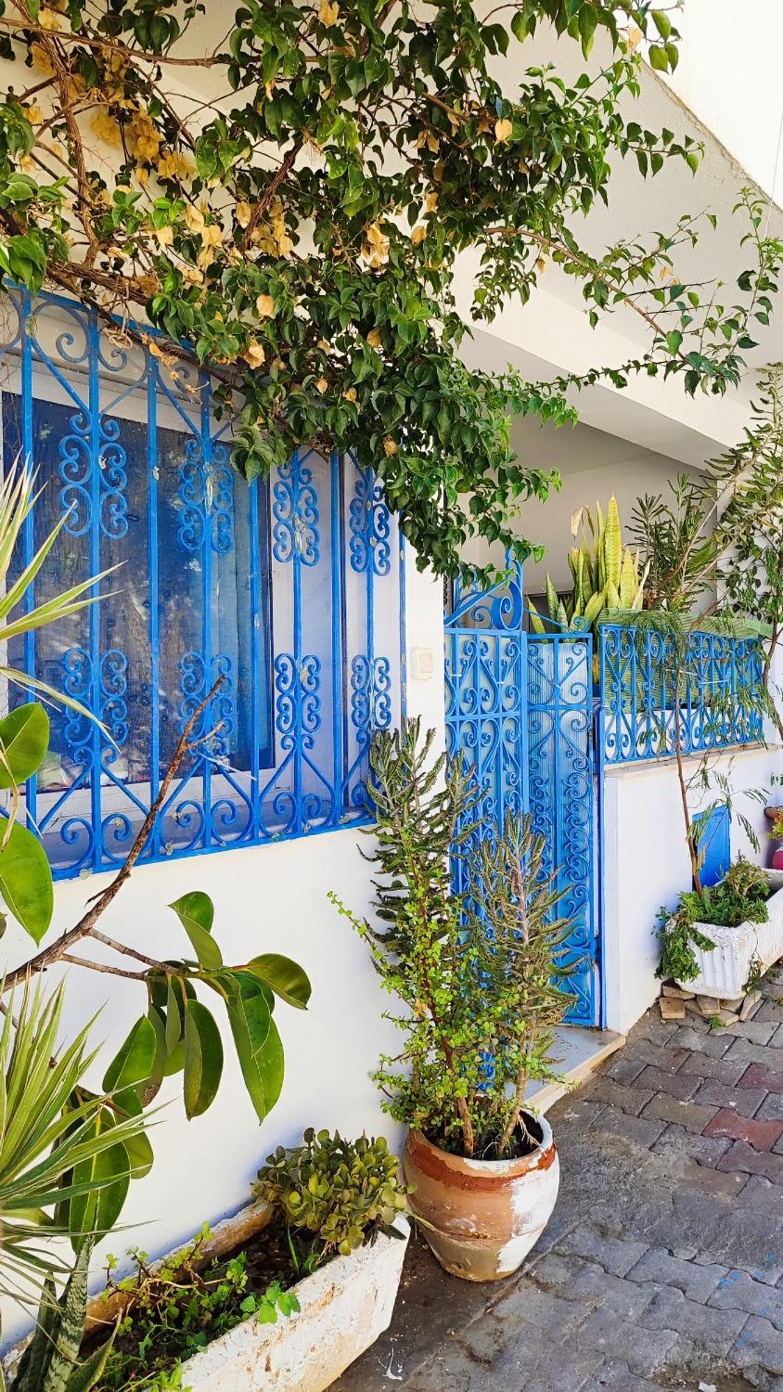 Cosy Appartement In "Sidi Bou Said" Extérieur photo